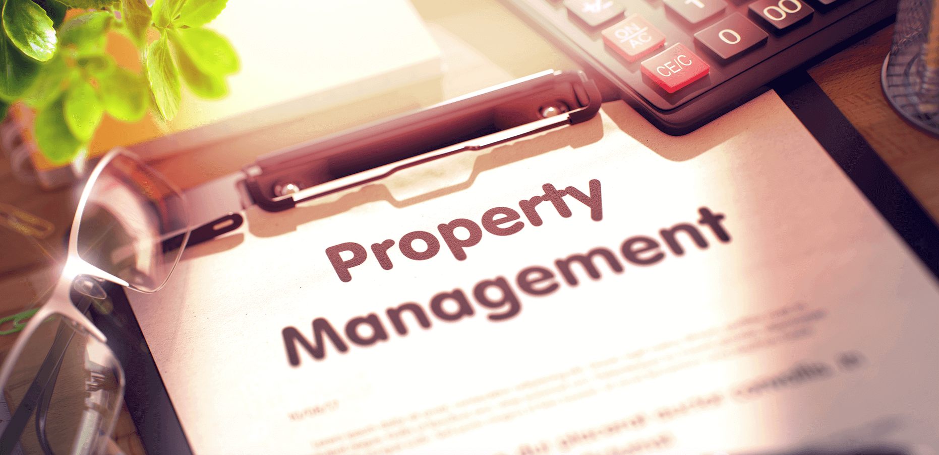 Should I use a property management agency?